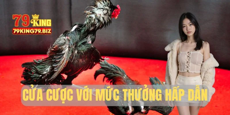 Cửa cược cơ bản với mức thưởng hấp dẫn