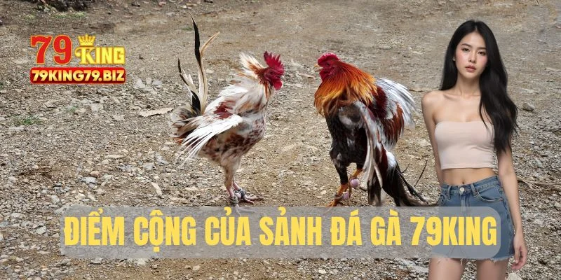 Điểm cộng khác biệt của sảnh đá gà 79King