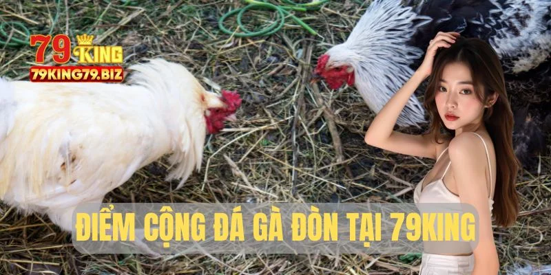 Điểm cộng lớn của đá gà đòn 